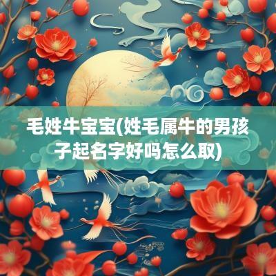 毛姓牛宝宝(姓毛属牛的男孩子起名字好吗怎么取)