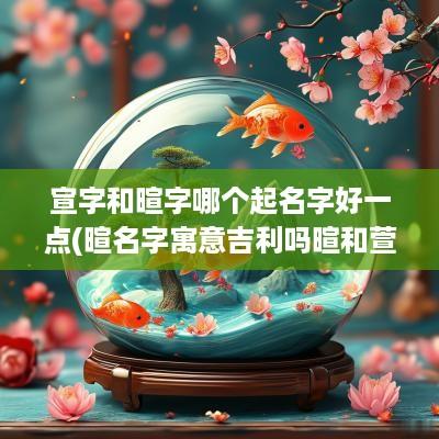 宣字和暄字哪个起名字好一点(暄名字寓意吉利吗暄和萱哪个适合女孩取名)