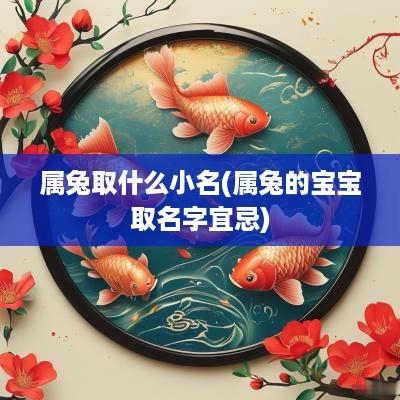 属兔取什么小名(属兔的宝宝取名字宜忌)