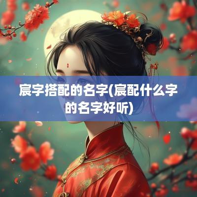 宸字搭配的名字(宸配什么字的名字好听)
