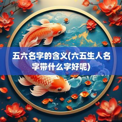 五六名字的含义(六五生人名字带什么字好呢)