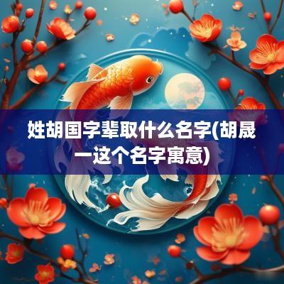 姓胡国字辈取什么名字(胡晟一这个名字寓意)