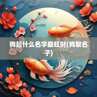 狗起什么名字最旺财(狗取名子)