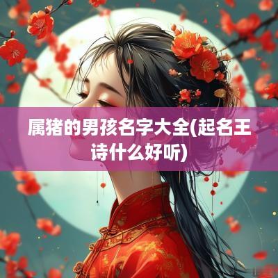 属猪的男孩名字大全(起名王诗什么好听)