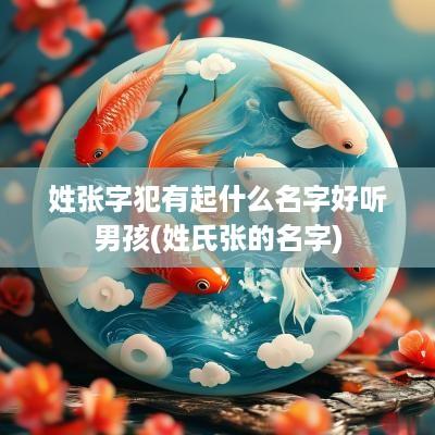 姓张字犯有起什么名字好听男孩(姓氏张的名字)