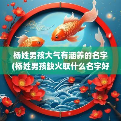 杨姓男孩大气有涵养的名字(杨姓男孩缺火取什么名字好)