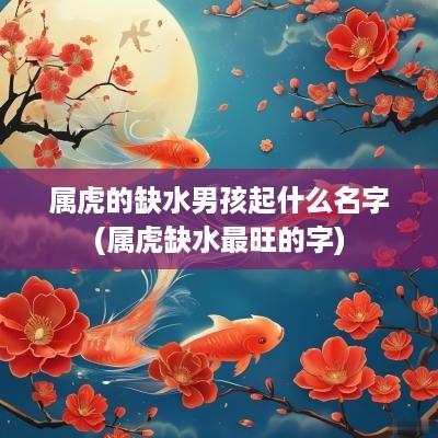 属虎的缺水男孩起什么名字(属虎缺水最旺的字)