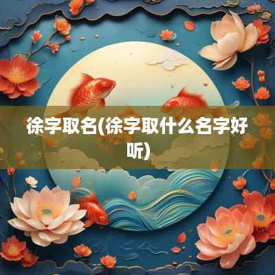 徐字取名(徐字取什么名字好听)