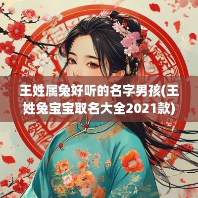 王姓属兔好听的名字男孩(王姓兔宝宝取名大全2025款)