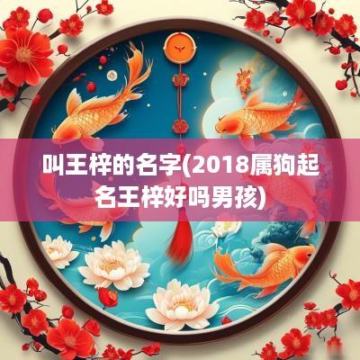 叫王梓的名字(2018属狗起名王梓好吗男孩)