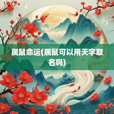 属鼠命运(属鼠可以用天字取名吗)