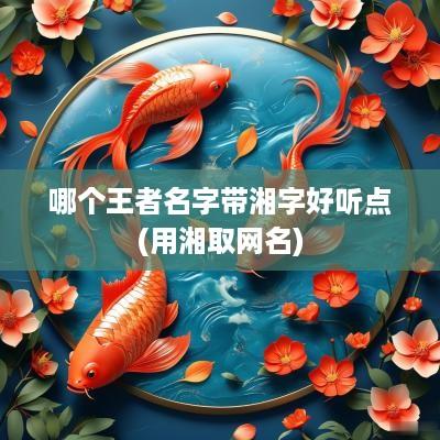 哪个王者名字带湘字好听点(用湘取网名)