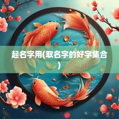 起名字用(取名字的好字集合)