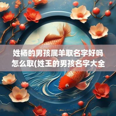 姓杨的男孩属羊取名字好吗怎么取(姓王的男孩名字大全)