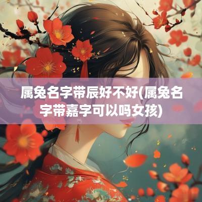 属兔名字带辰好不好(属兔名字带嘉字可以吗女孩)