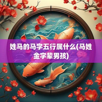 姓马的马字五行属什么(马姓金字辈男孩)