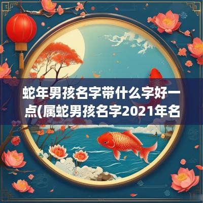 蛇年男孩名字带什么字好一点(属蛇男孩名字2025年名字大全)