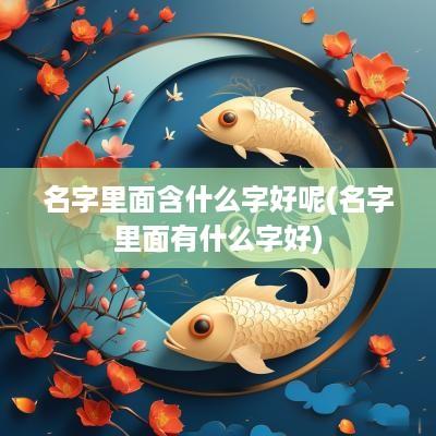 名字里面含什么字好呢(名字里面有什么字好)