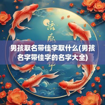 男孩取名带佳字取什么(男孩名字带佳字的名字大全)