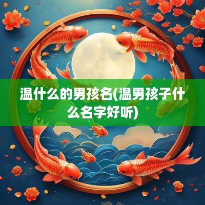 温什么的男孩名(温男孩子什么名字好听)