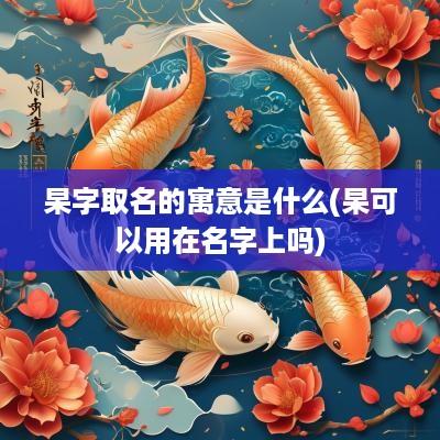 杲字取名的寓意是什么(杲可以用在名字上吗)
