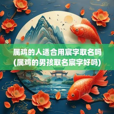 属鸡的人适合用宸字取名吗(属鸡的男孩取名宸字好吗)