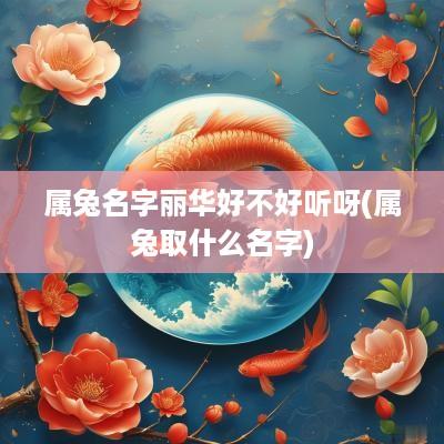 属兔名字丽华好不好听呀(属兔取什么名字)