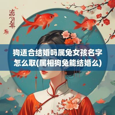 狗适合结婚吗属兔女孩名字怎么取(属相狗兔能结婚么)
