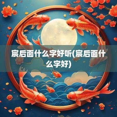宸后面什么字好听(宸后面什么字好)