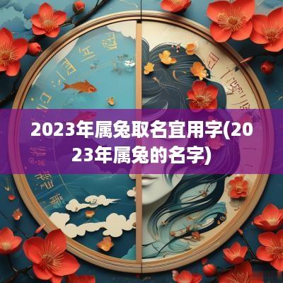 2025年属兔取名宜用字(2025年属兔的名字)
