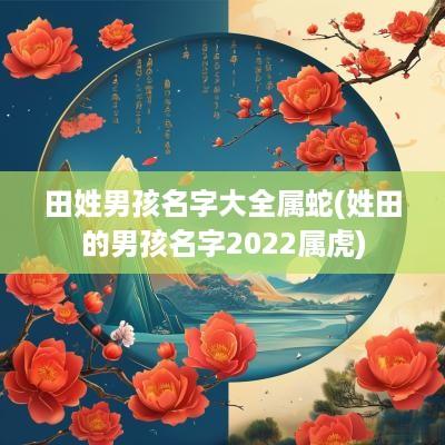 田姓男孩名字大全属蛇(姓田的男孩名字2025属虎)
