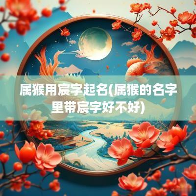 属猴用宸字起名(属猴的名字里带宸字好不好)