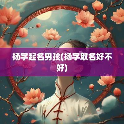 扬字起名男孩(扬字取名好不好)