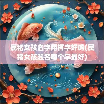 属猪女孩名字用柯字好吗(属猪女孩起名哪个字最好)