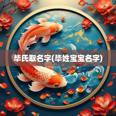 毕氏取名字(毕姓宝宝名字)