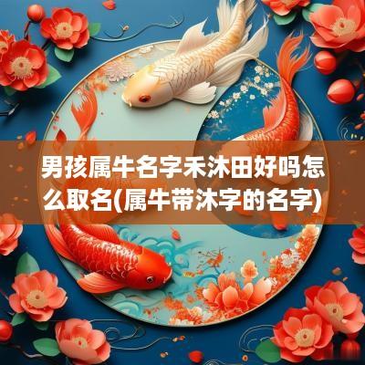 男孩属牛名字禾沐田好吗怎么取名(属牛带沐字的名字)