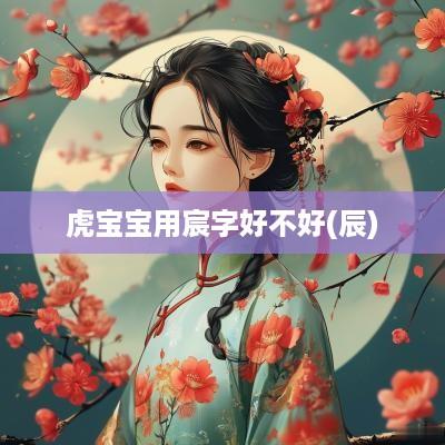 虎宝宝用宸字好不好(辰)