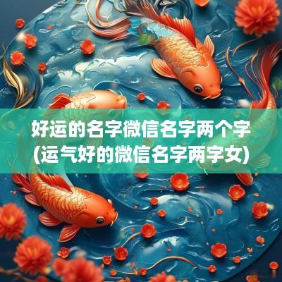好运的名字微信名字两个字(运气好的微信名字两字女)