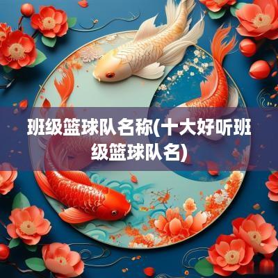 班级篮球队名称(十大好听班级篮球队名)