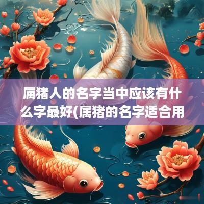 属猪人的名字当中应该有什么字最好(属猪的名字适合用的字)