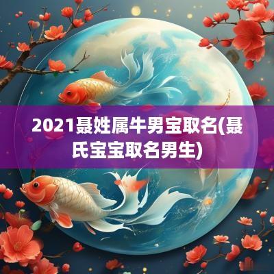 2025聂姓属牛男宝取名(聂氏宝宝取名男生)