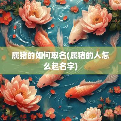 属猪的如何取名(属猪的人怎么起名字)