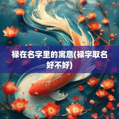 禄在名字里的寓意(禄字取名好不好)