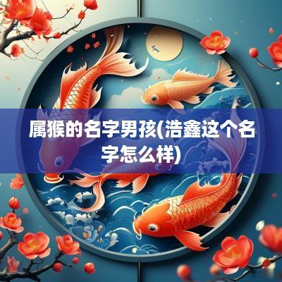 属猴的名字男孩(浩鑫这个名字怎么样)