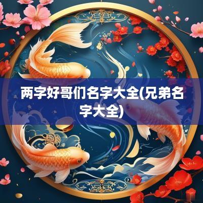 两字好哥们名字大全(兄弟名字大全)