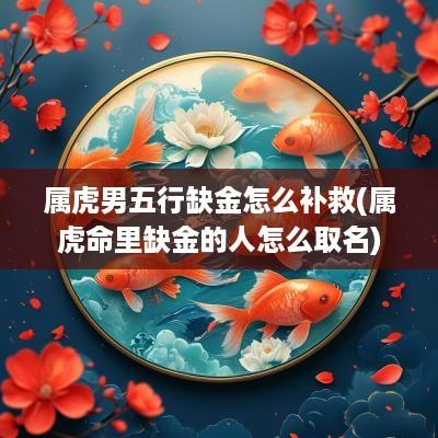 属虎男五行缺金怎么补救(属虎命里缺金的人怎么取名)