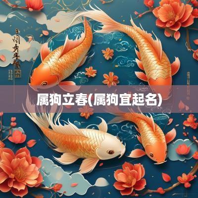 属狗立春(属狗宜起名)