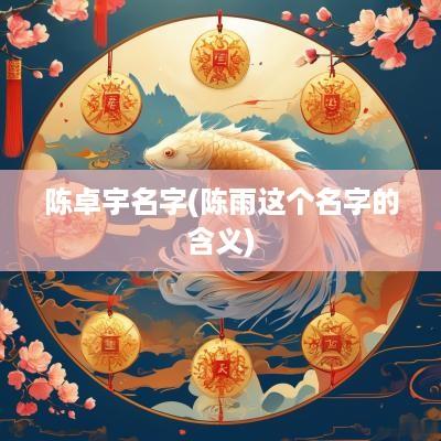 陈卓宇名字(陈雨这个名字的含义)