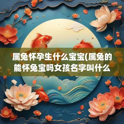 属兔怀孕生什么宝宝(属兔的能怀兔宝吗女孩名字叫什么)