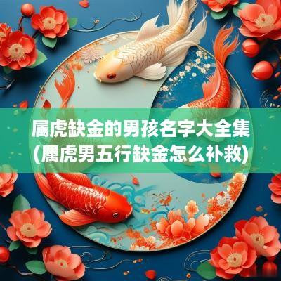 属虎缺金的男孩名字大全集(属虎男五行缺金怎么补救)